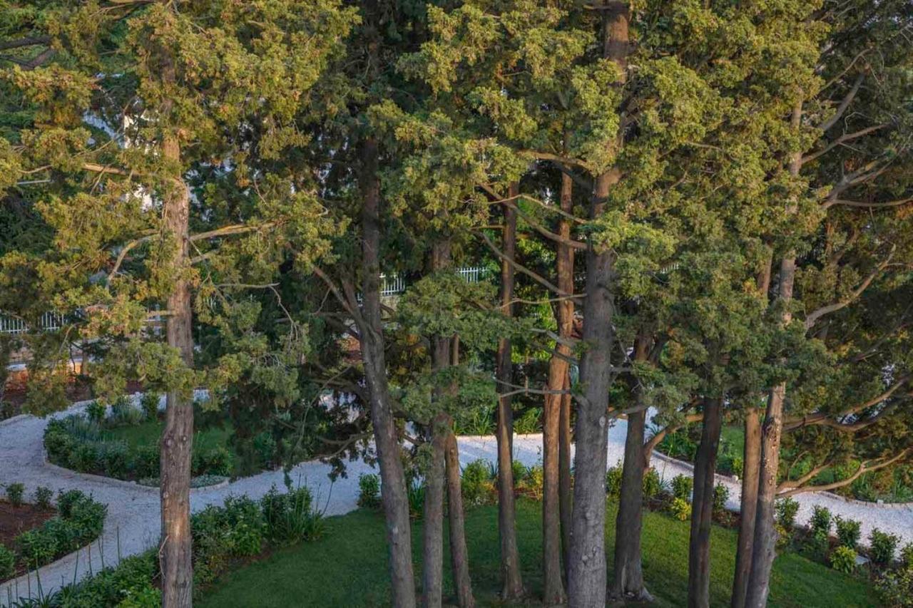 Borgo Dei Lecci Puglia Bed and Breakfast Selva Di Fasano Buitenkant foto