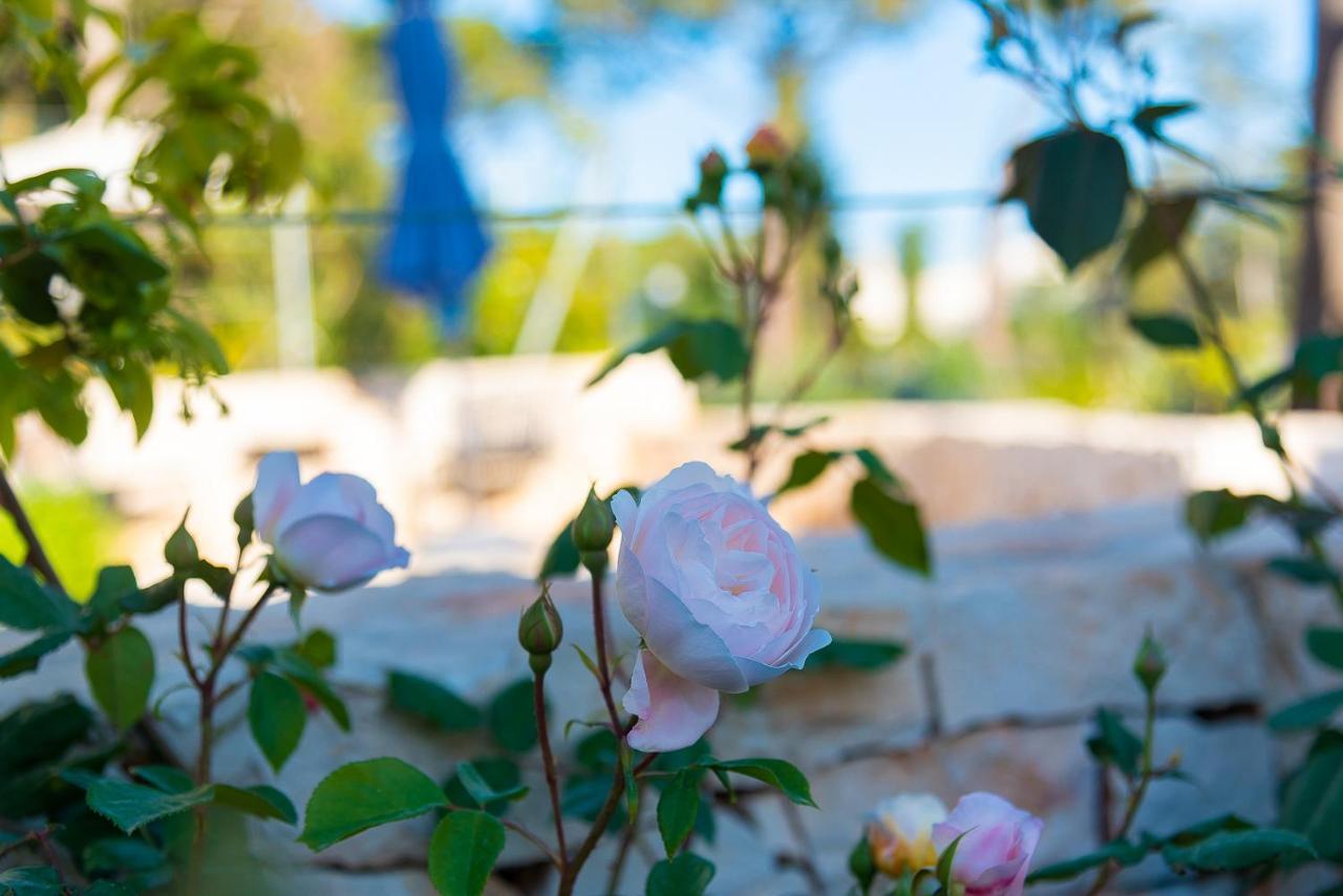 Borgo Dei Lecci Puglia Bed and Breakfast Selva Di Fasano Buitenkant foto