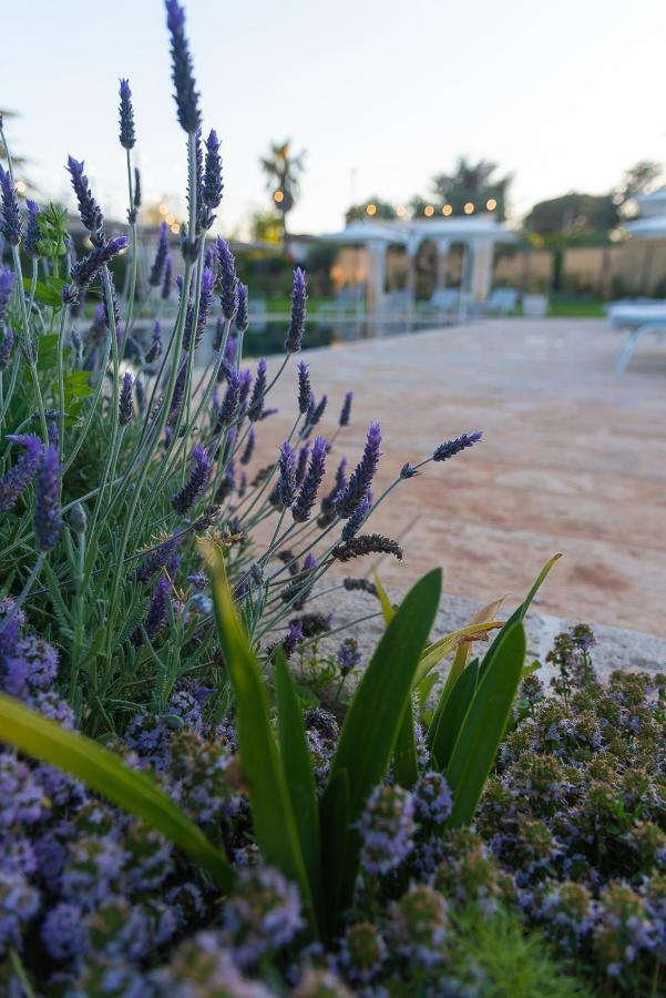 Borgo Dei Lecci Puglia Bed and Breakfast Selva Di Fasano Buitenkant foto