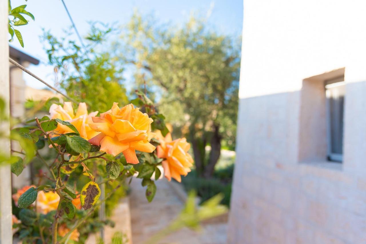 Borgo Dei Lecci Puglia Bed and Breakfast Selva Di Fasano Buitenkant foto